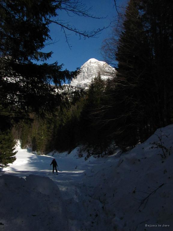 Slika_51.jpg - Krasna kompozicija, mar ne.