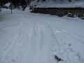 Slika_18