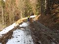 Slika_08