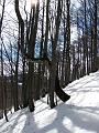 Slika_14