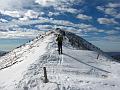 Slika_22