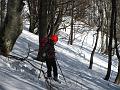 Slika_29