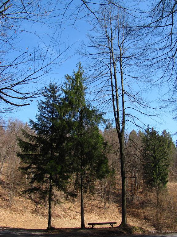 Slika_25.jpg - Še ena klopca za počivanje.