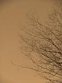 Slika_02