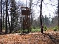 Slika_15
