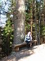 Slika_18