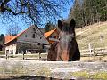 Slika_28