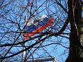 Slika_42