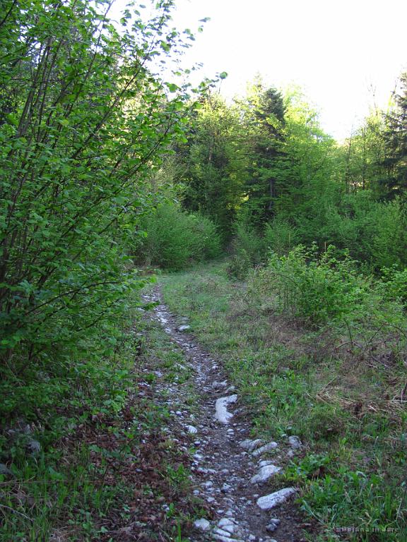 Slika_45.jpg - Drugi dan sva imela v planu udeležitev Vrhniškega pohoda. Žal sva ugotovila, da sva falila datum in je bil dan prej. Ja, greva pa sama.