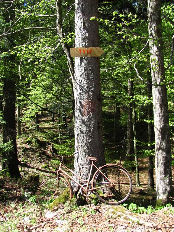 Slika_48.jpg - Le kakšen pomen ima tukaj to kolo?