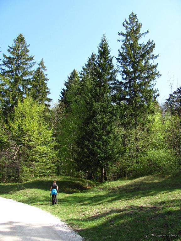 Slika_05.jpg - Iz "Kašivnka" smo kaj kmalu zavili v gozd v smeri "Francoske ceste".