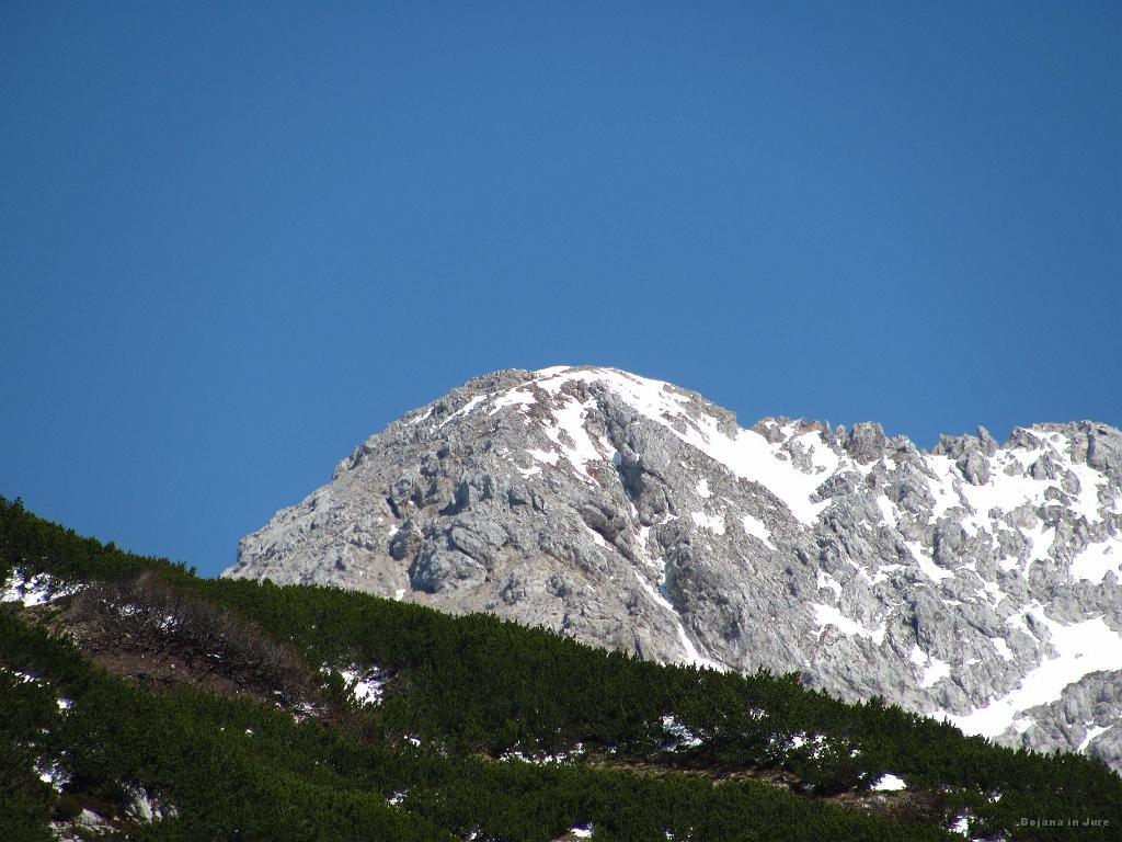 Slika_16.jpg - Skozi ruševje, ki je na določenih delih tako gosto, da se moraš resnično prebiti skozenj. Vendar na nekaterih delih pridno čistijo, zato računava s tem, da bi lahko preostal del hitro popucali. Po kakšni uri hoje prideva na bolj odprt del, kjer jo ugledava. Najin verjetni cilj? Namreč tu okoli je veliko kucljev, kamor lahko uletiš, če na Ojstrico ne gre.