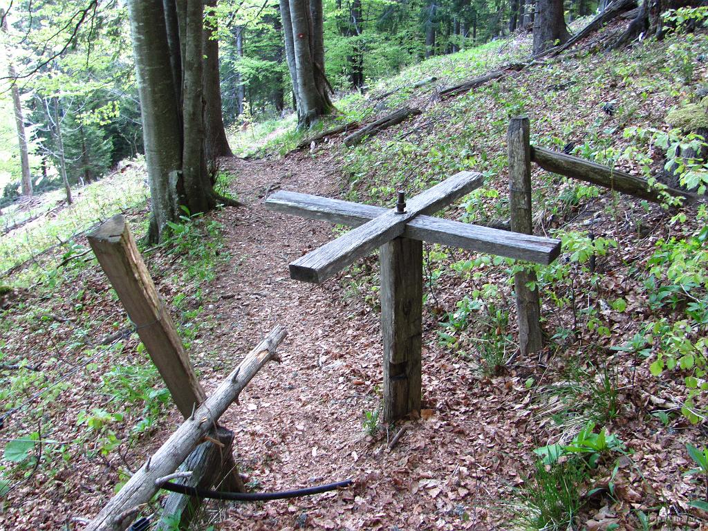 Slika_61.jpg - Še ene gajtre od Hofra :)