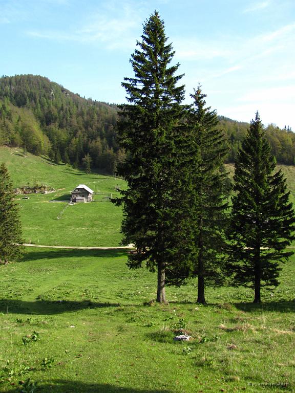 Slika_62.jpg - Pl. Dol ob 17:45. Lepo!!!