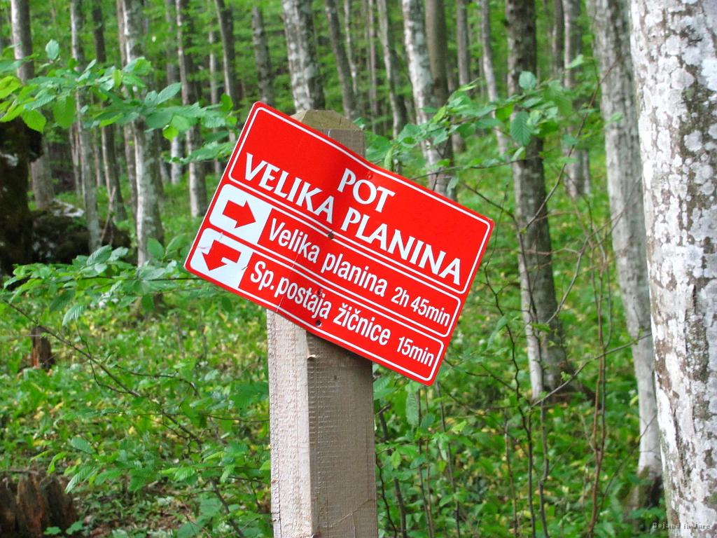 Slika_65.jpg - Na gozdno cesto, ki je 15 minut oddaljena od spodnje postaje žičnice prispeva ob 18:55! Torej sva bila tu v 1 uri in 10 minutah, 30 minut hitreje od zapisanega. Morda pa lahko še na vrtu zalijeva?!