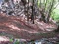 Slika_64
