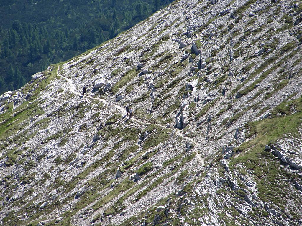 Slika_050.jpg - Ko smo bili na 1/2 poti med grebenom in vrhom Mahavščka, ugledamo zadnji del odprave.