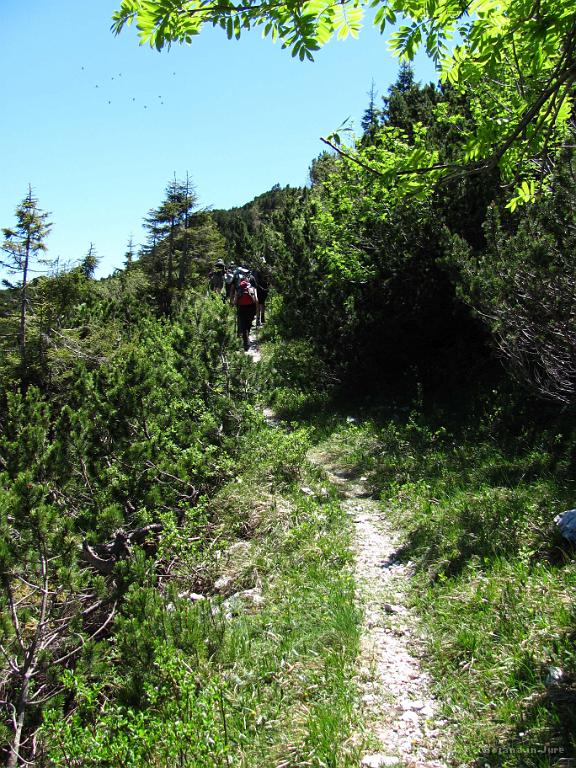 Slika_077.jpg - Po poti v smeri razcepa, kjer je treba paziti.