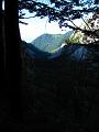 Slika_009