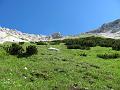 Slika_025