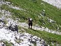 Slika_029