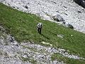 Slika_038