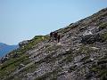 Slika_039