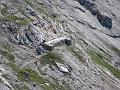Slika_049