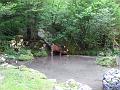 Slika_093