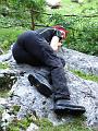 Slika_095