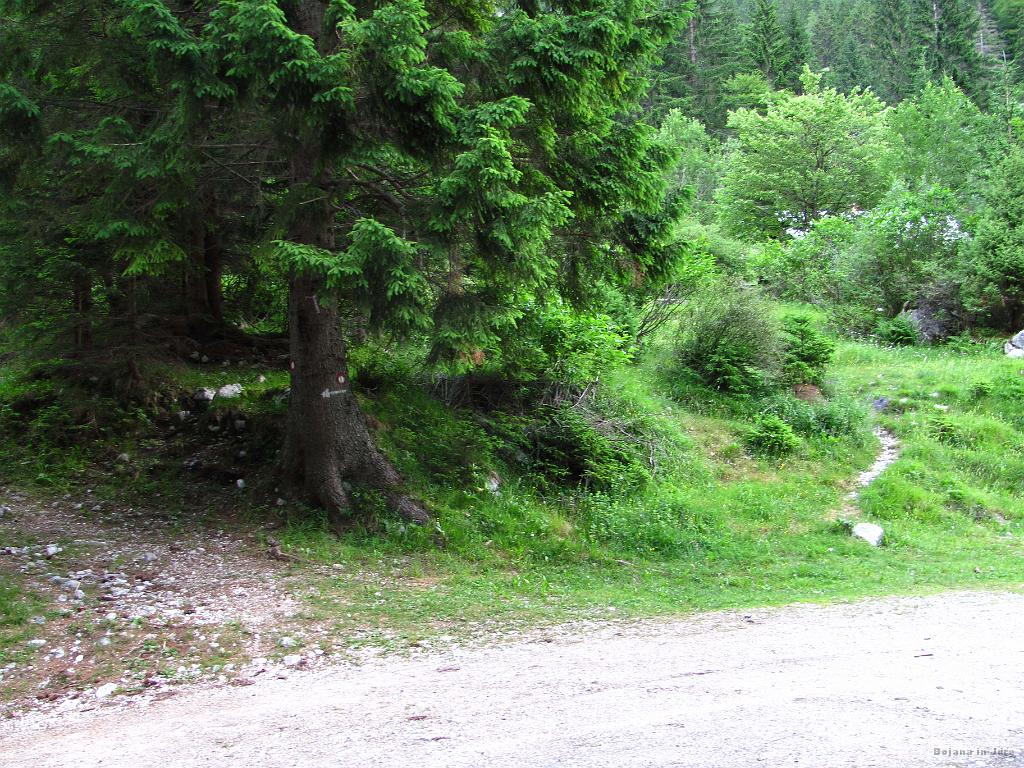 Slika_02.jpg - Levo je označena markirana pot v smeri Valvazorja in na Stol. No, sedaj sva vedla, da lahko štartava kot pri prejšnjem poskusu (torej levo), vendar morava zaviti desno takoj ob hiškah (od tu čez 10-15m). Da sva bila dovolj desno, sva šla za začetek kar po tej stezici na desnem delu slike. Vendar sva nato malce blodila po grapi; levo in desno, pa vsak posvoje. No, vidno pot sva našla in se nahaja na grebenu levo od grape (gledano navzgor).