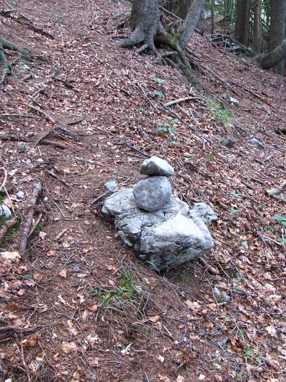 Slika_05.jpg - ...možici...