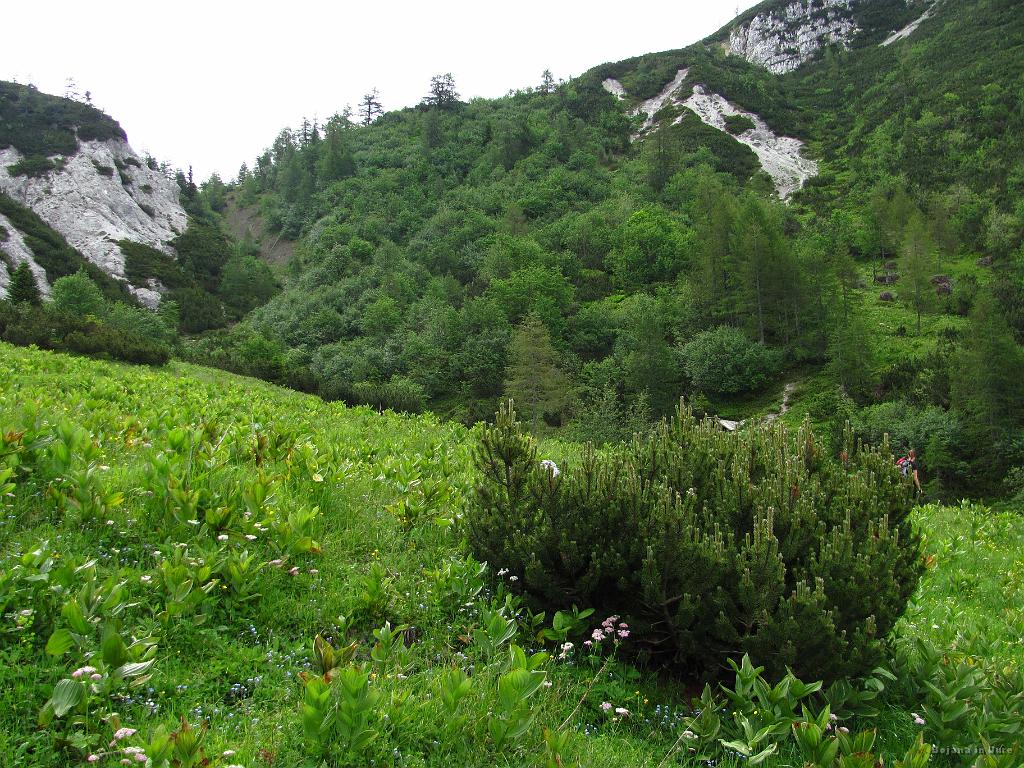 Slika_12.jpg - Najnižji del je sedlo Šija, zato se odločiva, da že na tem travniku greva navzgor levo.