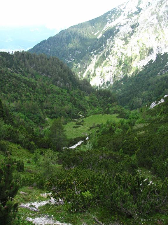 Slika_19.jpg - Na travniku spodaj sva se kakšnih 15 minut nazaj odločila za direkten vzpon po grapi. Slikano že z markirane zgornje poti v smeri Stola oz. s prečenja na markirano na Vrtačo.