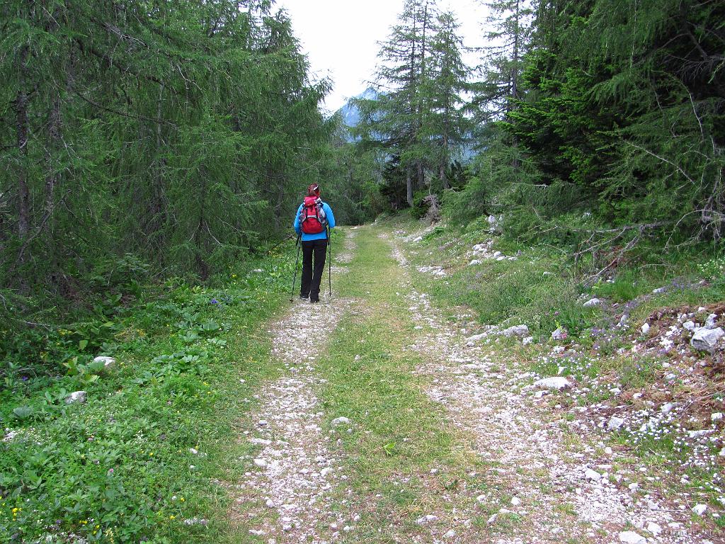 Slika_65.jpg - Pot nazaj od Zelenice do Tinčkove.