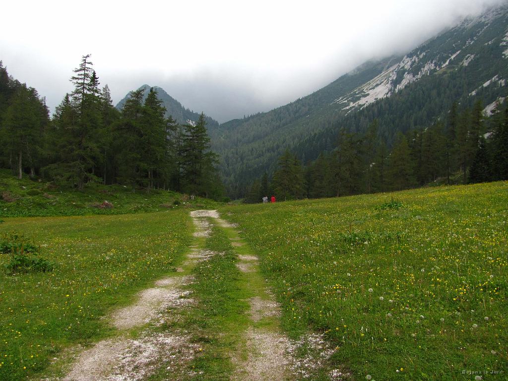 Slika_66.jpg - Pot nazaj od Zelenice do Tinčkove.
