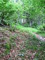 Slika_03
