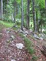 Slika_04