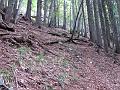Slika_08
