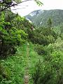 Slika_09