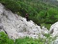 Slika_13
