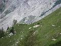 Slika_14