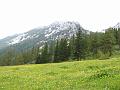 Slika_67