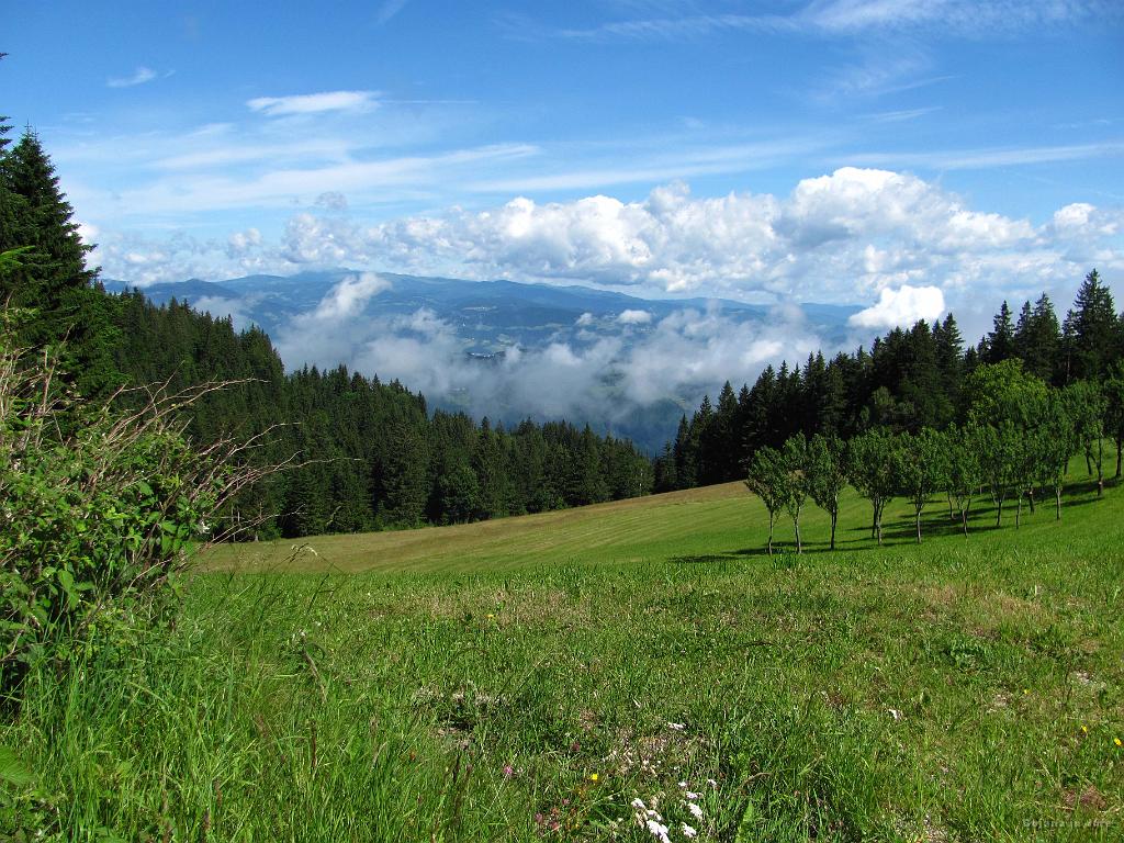 Slika_028.jpg - Pogled na sever. Proti Ribnici mogoče?