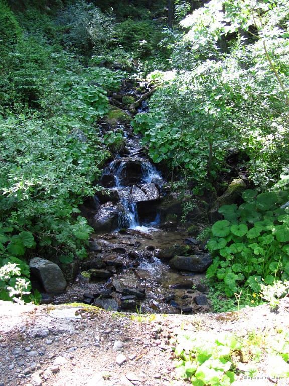 Slika_031.jpg - Naprej. Žejna gotovo ne bova, saj je dovolj izvirov.