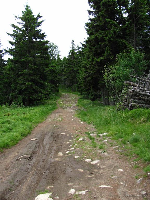 Slika_077.jpg - Vreme je enako včerajšnjemu, vroče, a oblačno.