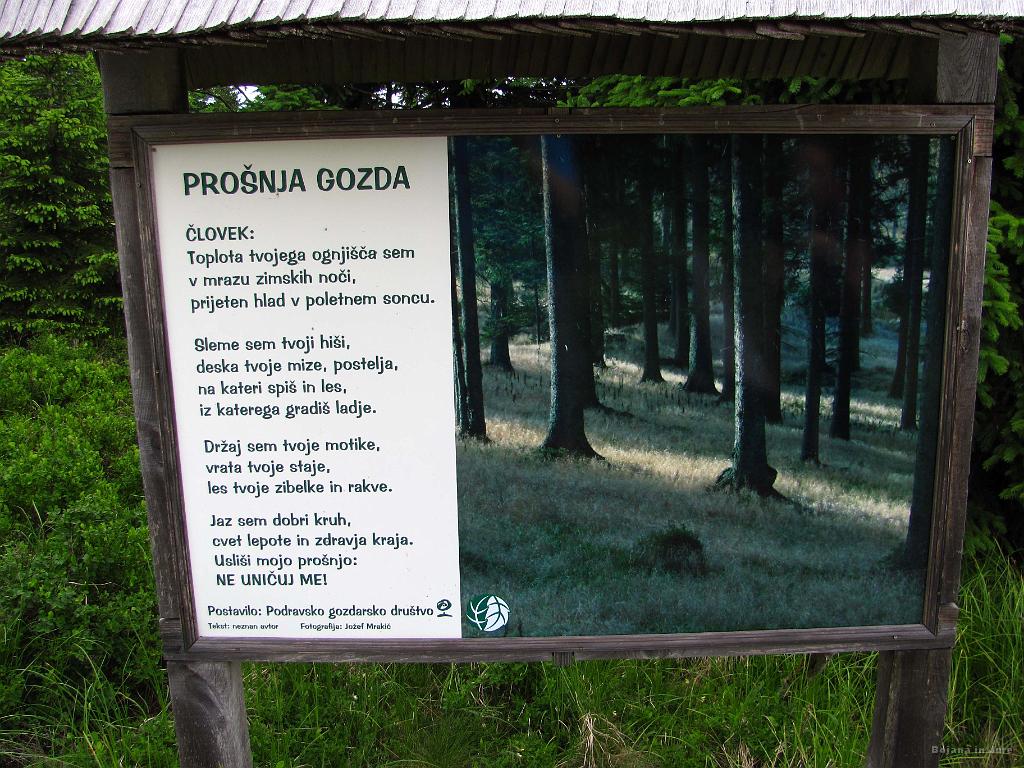 Slika_099.jpg - Res lepa pesem na poti do Ribniškega jezera.