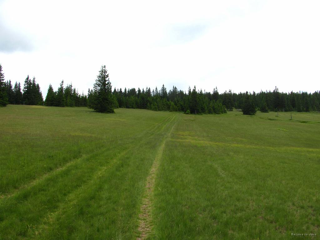 Slika_120.jpg - In potem naletiva na travnik. Široko zeleno površino.