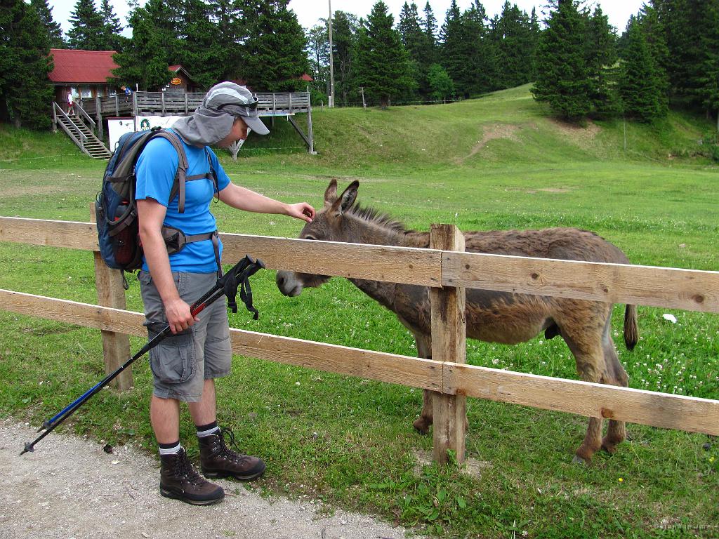 Slika_152.jpg - Osel je na desni.