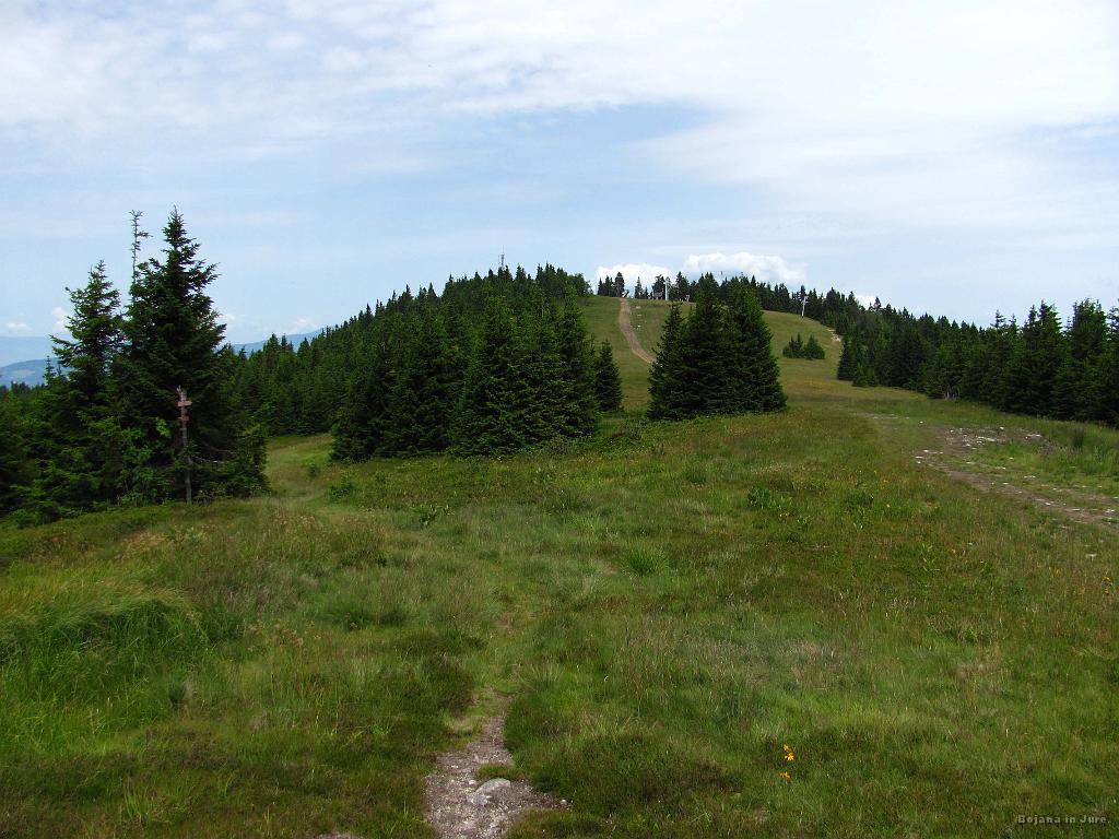 Slika_174.jpg - Če bi bila krava, bi se kar pasla, tako je lepo.